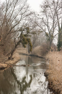 Bachlauf by Thomas Schwarz