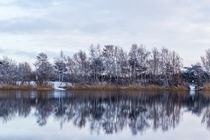 Winterliches Seeufer by Thomas Schwarz