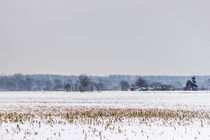 Feld im Winter by Thomas Schwarz