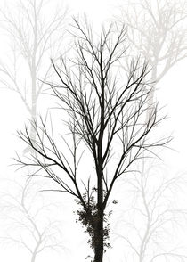Trees abstract von Dennson Creative