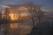 Nebelstimmung an der Trave von Andrea Potratz