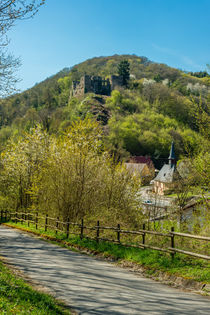 Burg Dalberg 46 von Erhard Hess