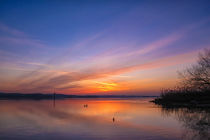 Morgendämmerung über dem Bodensee bei Iznang - Bodensee von Christine Horn