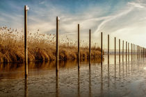 'Bootsdalben im Fischerhafen von Moos auf der Halbinsel Höri im Winter - Bodensee' by Christine Horn