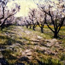 Cherry Trees von Pola Art