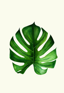 Monstera leaf by dreamyfaces
