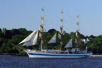 Vollschiff Mir in Hamburg von ir-md