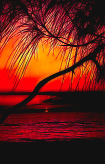 Red Sunset Design by Rosalie Scanlon