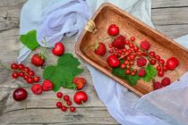 Rote Beeren Still life von Claudia Evans