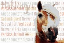 Haflinger - Gelassene Vitalität von Astrid Ryzek