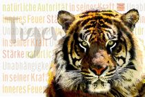 Tiger - Friedvoller Krieger von Astrid Ryzek