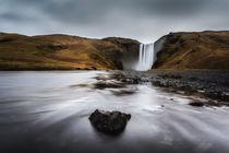 Majestically unique von Jorge Maia