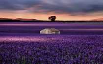 Going home von Jorge Maia