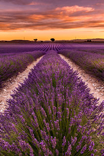 Piece of mind von Jorge Maia