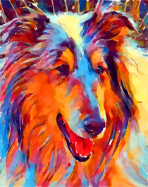 Collie Watercolor von Chris Butler