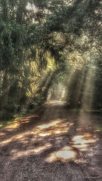 Elfenweg by fotoart-ed