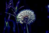 Waiting for the Wind by Peter Hebgen