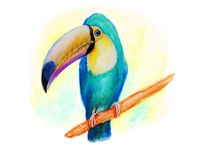 Tucan-Papagei von Peter Holle