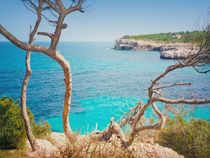 MALLORCA - Felsenküste bei Santanyi by Wolfram Schramm