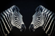 Twins von AD DESIGN Photo + PhotoArt