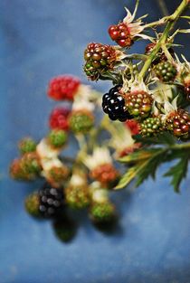 reifende Brombeeren... by loewenherz-artwork