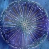 Mandala - Sky flower night von Chris Berger