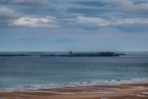 Inner Farne Island. by Colin Metcalf