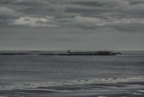 Inner Farne Island. von Colin Metcalf