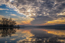 Himmel in Bewegung II - Insel Reichenau  by Christine Horn