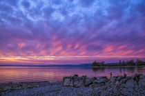 After Sundown - Insel Reichenau von Christine Horn