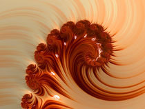 Orange Nautilus von Elisabeth  Lucas