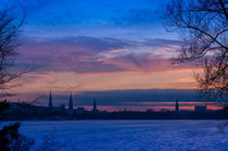 Hamburger Skyline zur Blauen Stunde von Thomas Sonntag