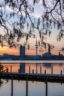 Außenalster und Telemichel von Thomas Sonntag