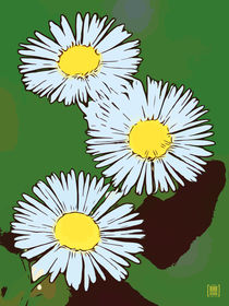 Blumen Poster Gänseblümchen grün von Robert H. Biedermann
