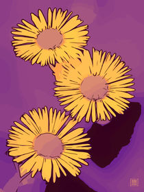 Blumen Poster WelikeFlowers Gänseblümchen gelb-lila von Robert H. Biedermann