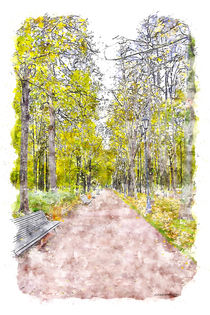 Autumn Alley von cinema4design