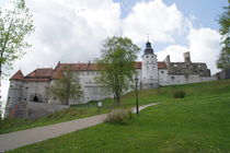 Schloss Heidenheim 3 by kattobello