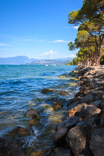 Gardasee - Promenade in Lazise von Stephan Hockenmaier