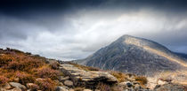 Welsh Countryside Mountain View von John Williams