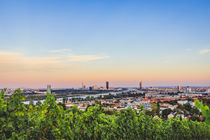 View over Danube in Vienna from the vineyards von Silvia Eder