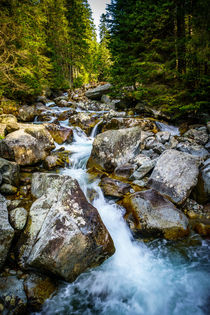 a river gorge leading down from Zelene Pleso by Zoltan Duray