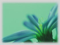 Blume in Blau von other-view