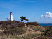 Hiddensee - Leuchtturm auf dem Dornbusch by sternbild