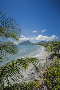 Karibisches Meer und Palmen von Marcel Lorenz