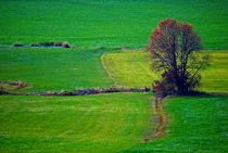 Herbstmelancholie... 3 von loewenherz-artwork