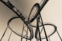 Tiger and Turtle in Duisburg (7-10423) B+W von Franz Walter Photoart