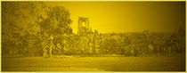 Kirkstall Abbey by Colin Metcalf