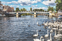 Windsor Town Bridge von Ian Lewis