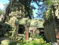 Königreich Kambodscha und Angkor Wat - Ta Prohm von Mellieha Zacharias