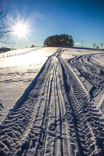 Spuren im Schnee by Regina Raaf